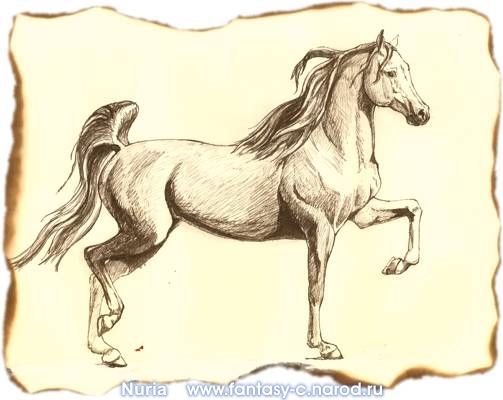 http://fantasy-c.narod.ru/img/graphica/horse.jpg